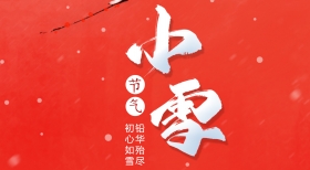 小雪 | 华章新启，国内首款微型纯电动皮卡上市